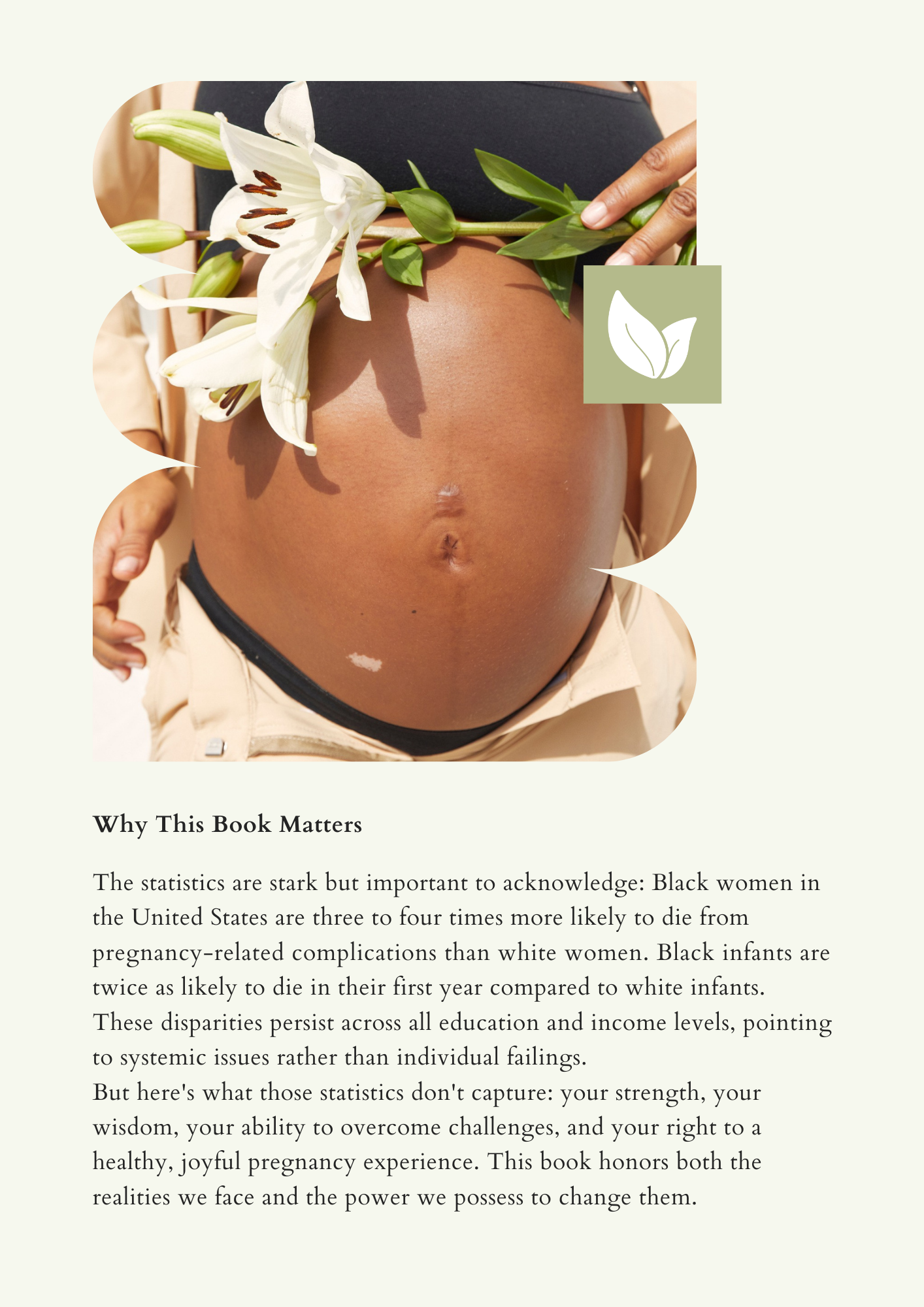 Empowered Motherhood: A Complete Pregnancy Guide for Black Women