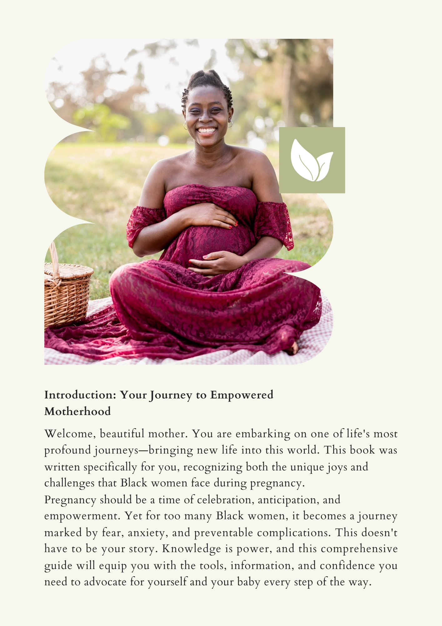Empowered Motherhood: A Complete Pregnancy Guide for Black Women